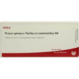 Abbildung: Prunus Spinosa E FL. et SU. D 6 Ampullen Ampullen, 10X1 ml PZN 02830355