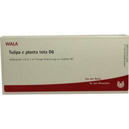 Abbildung: Tulipa e planta tota D 6 Ampullen 10X1 ml, Ampullen PZN 02830378