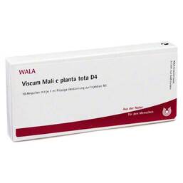 Abbildung: Viscum Mali e planta tota D 4 Ampullen 10X1 ml, Ampullen PZN 02830409