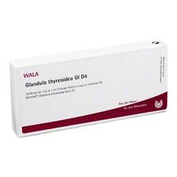 Abbildung: Glandula Thyreoidea GL D 4 Ampullen 10X1 ml, Ampullen PZN 02831076