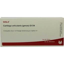 Abbildung: Cartilago articularis genus GL D 4 Ampullen 10X1 ml, Ampullen PZN 02831395