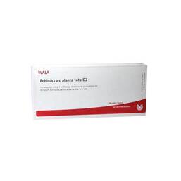Abbildung: Echinacea E Planta Tota D 2 Ampullen Ampullen, 10X1 ml PZN 02832590