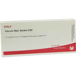 Abbildung: Viscum Mali Senker D 30 Ampullen 10X1 ml, Ampullen PZN 02832650