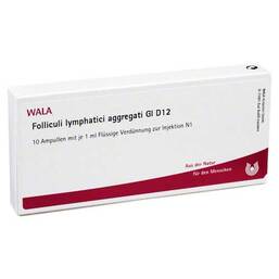 Abbildung: Folliculi lymphatici aggregati GL D 12 Ampullen 10X1 ml, Ampullen PZN 02876475