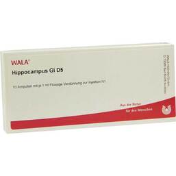 Abbildung: Hippocampus GL D 5 Ampullen 10X1 ml, Ampullen PZN 02878853