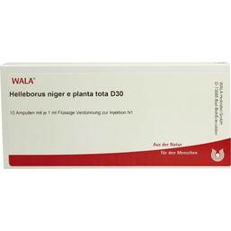 Abbildung: Helleborus Niger E Planta Tota D 30 Ampullen Ampullen, 10X1 ml PZN 02884581