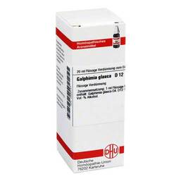 Abbildung: DHU Galphimia glauca D 12 Dilution Dilution, 20 ml PZN 02889147