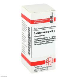  PZN 02890162 Globuli, 10 g