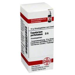 Abbildung: DHU Eupatorium perfoliatum D 6 G Globuli, 10 g PZN 02890179