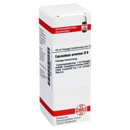 Abbildung: Equisetum arvense D 6 Dilution Dilution, 20 ml PZN 02898324