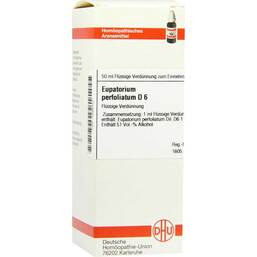 Abbildung: Eupatorium perfoliatum D 6 Dilution Dilution, 50 ml PZN 02898442