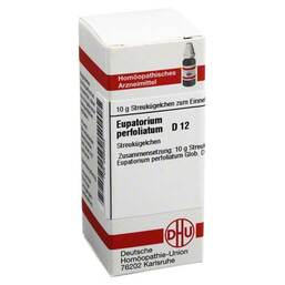 Abbildung: DHU Eupatorium perfoliatum D 12 Globuli, 10 g PZN 02898465