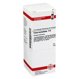 Abbildung: DHU Fucus vesiculosus D 6 Dilution Dilution, 50 ml PZN 02898979