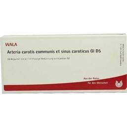 Abbildung: Arteria carotis communis et sinus caroticus GL D 5 Ampullen 10X1 ml, Ampullen PZN 02903232