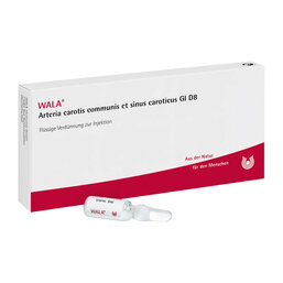 Abbildung: Arteria carotis communis et sinus caroticus GL D 8 Ampullen 10X1 ml, Ampullen PZN 02903278