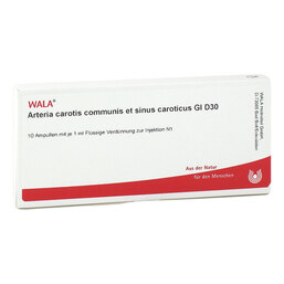 Abbildung: Arteria carotis communis et sinus caroticus GL D 30 Ampullen 10X1 ml, Ampullen PZN 02903350