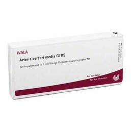 Abbildung: Arteria Cerebri Media GL D 5 Ampullen 10X1 ml, Ampullen PZN 02903841