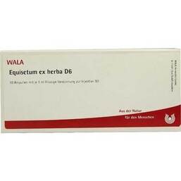 Abbildung: Equisetum ex Herba D 6 Ampullen Ampullen, 10X1 ml PZN 02921365