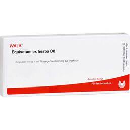 Abbildung: Equisetum ex Herba D 8 Ampullen Ampullen, 10X1 ml PZN 02921388