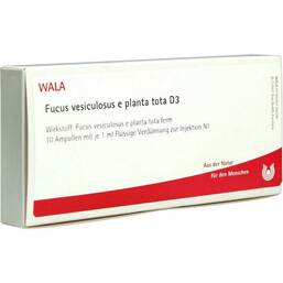 Abbildung: Fucus vesiculosus e planta tota D 3 Ampullen Ampullen, 10X1 ml PZN 02921750