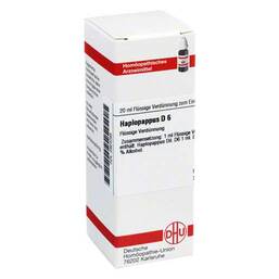 Abbildung: Haplopappus D 6 Dilution Dilution, 20 ml PZN 02924085
