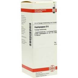 Abbildung: Haplopappus D 6 Dilution Dilution, 50 ml PZN 02924116