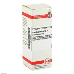 Abbildung: Plantago Major D 4 Dilution Dilution, 20 ml PZN 02929303