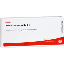 Abbildung: Nervus Peronaeus GL D 5 Ampullen 10X1 ml, Ampullen PZN 02940954