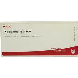 Abbildung: Plexus Lumbalis GL D 30 Ampullen 10X1 ml, Ampullen PZN 02951248