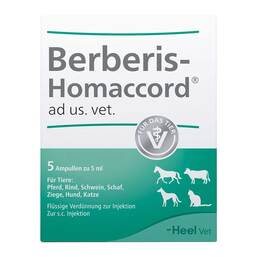 Abbildung: Berberis Homaccord Ampullen vet. (für Tiere) 5X5 ml, Ampullen PZN 03042447