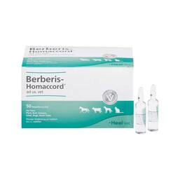 Abbildung: Berberis Homaccord Ampullen vet. (für Tiere) 50X5 ml, Ampullen PZN 03042453