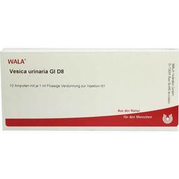 Abbildung: Vesica Urinaria GL D 8 Ampullen Ampullen, 10X1 ml PZN 03353816