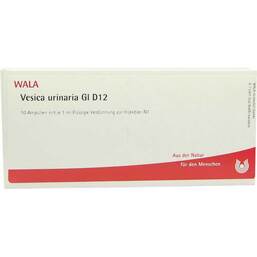 Abbildung: Vesica Urinaria GL D 12 Ampullen Ampullen, 10X1 ml PZN 03353839