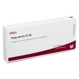 Abbildung: Pulpa Dentis GL D 6 Ampullen 10X1 ml, Ampullen PZN 03354684