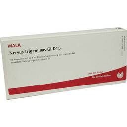 Abbildung: Nervus Trigeminus GL D 15 Ampullen 10X1 ml, Ampullen PZN 03355287