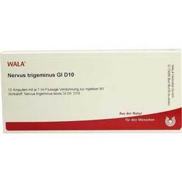 Abbildung: Nervus Trigeminus GL D 10 Ampullen 10X1 ml, Ampullen PZN 03355318