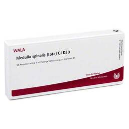 Abbildung: Medulla Spinalis Tota GL D 30 Ampullen Ampullen, 10X1 ml PZN 03356298