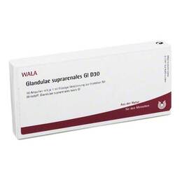 Abbildung: Glandulae suprarenalis GL D 30 Ampullen Ampullen, 10X1 ml PZN 03356772