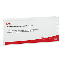 Abbildung: Glandulae suprarenalis GL D 12 Ampullen 10X1 ml, Ampullen PZN 03356803