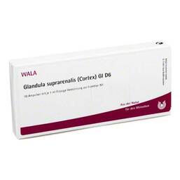 Abbildung: Glandula suprarenalis cortex GL D 6 Ampullen 10X1 ml, Ampullen PZN 03357151