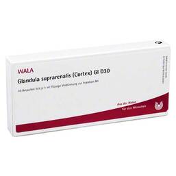 Abbildung: Glandula suprarenalis cortex GL D 30 Ampullen Ampullen, 10X1 ml PZN 03357211