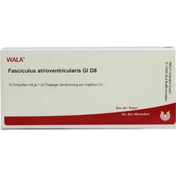 Abbildung: Fasciculus atrioventr. GL D 8 Ampullen 10X1 ml, Ampullen PZN 03357576
