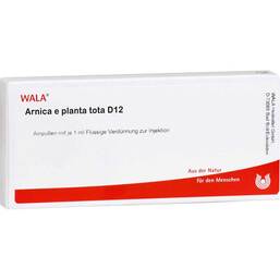 Abbildung: Arnica E Planta tota D 12 Ampullen 10X1 ml, Ampullen PZN 03358044