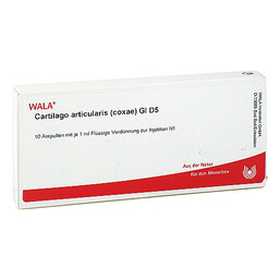 Abbildung: Cartilago articularis coxae GL D 5 Ampullen Ampullen, 10X1 ml PZN 03359428