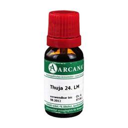 Abbildung: Thuja Arcana LM 24 Dilution Dilution, 10 ml PZN 03502794