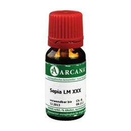 Abbildung: Sepia Arcana LM 30 Dilution Dilution, 10 ml PZN 03503196
