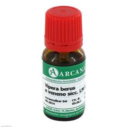 Abbildung: Vipera Berus Arcana LM 12 Dilution Dilution, 10 ml PZN 03503291