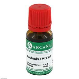 Abbildung: Lachesis Arcana LM 24 Dilution Dilution, 10 ml PZN 03504959