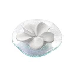  PZN 03517761 1 St