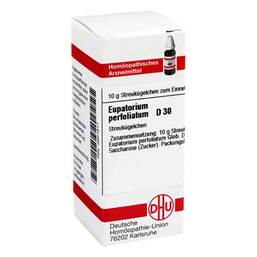 Abbildung: Eupatorium perfoliatum D 30 Globuli, 10 g PZN 03631617